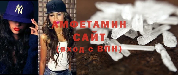 гашик Михайлов
