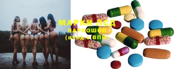 гашик Михайлов