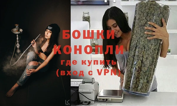 гашик Михайлов