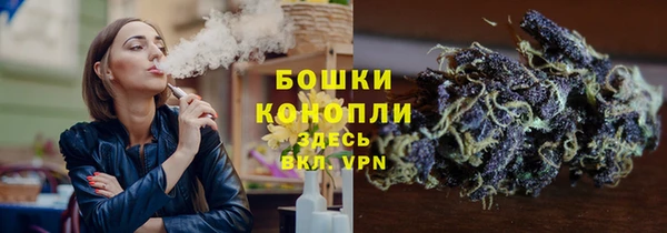 гашик Михайлов